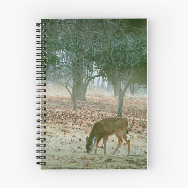 Item preview, Out in the woods  designed and sold by Judi Taylor.