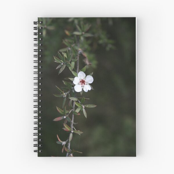 Artikelvorschau, New Zealand native flower - Manuka  entworfen und verkauft von JayKay.