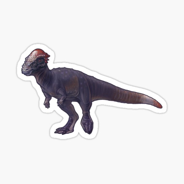 Item preview, Pachycephalosaurus wyomingensis designed and sold by CoffeeBlack Illustration.