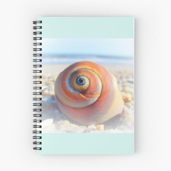 Item preview, Fibonacci Form designed and sold by NorthOfSunrise.