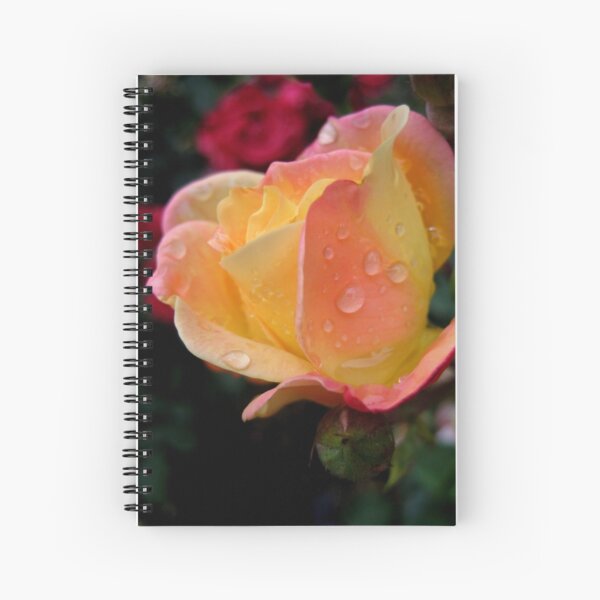 raindrops on roses Spiral Notebook