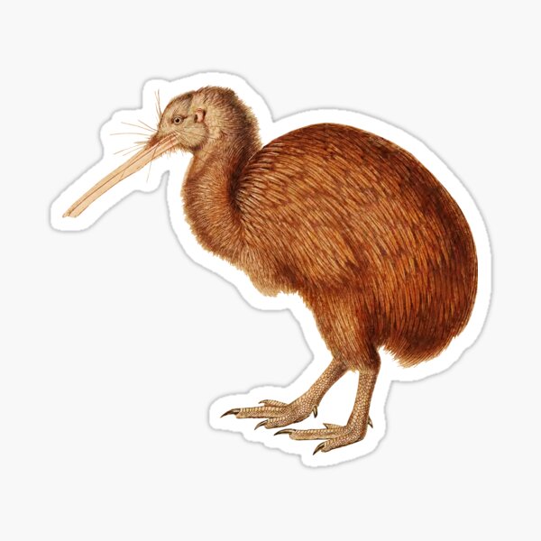 Item preview, Kiwi Bird Lover T-shirt New Zealand Wildlife Flightless Bird New Zealand Birds designed and sold by madeulaugh.