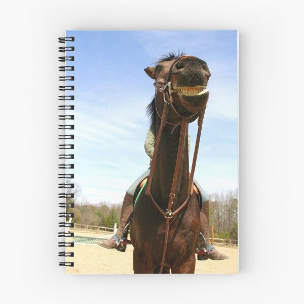 Item preview, zip designed and sold by Lisa Skala.