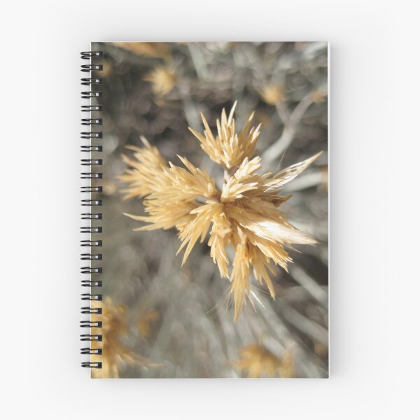 Item preview, Sunset Peak  designed and sold by Brian McLafferty.