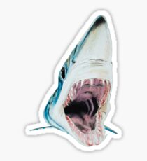 Rawr Sticker