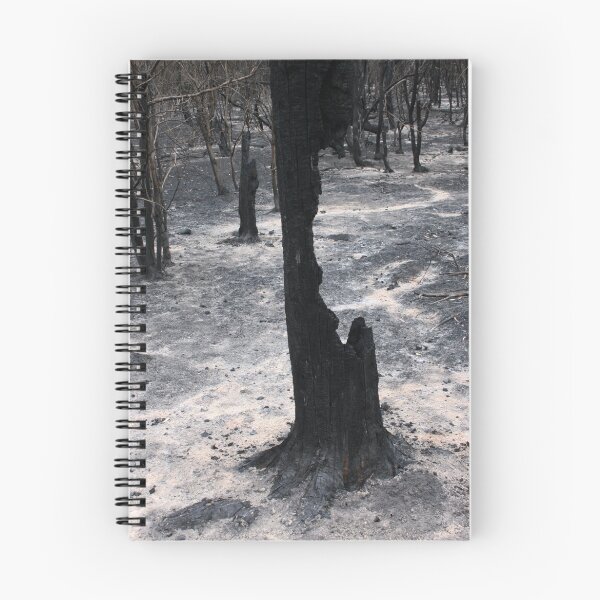 Item preview, After the Fire designed and sold by daverach1.