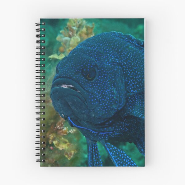 Item preview, Mr Grumpy Gills designed and sold by Ben Grant.