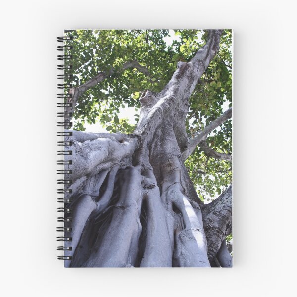Item preview, Banyan @ Clematis designed and sold by djprov.