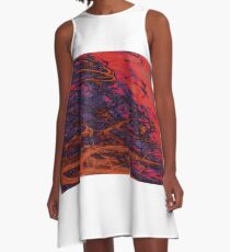 Sunset Flight A-Line Dress