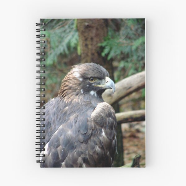 Item preview, PNW Raptor - Golden Eagle designed and sold by tkrosevear.