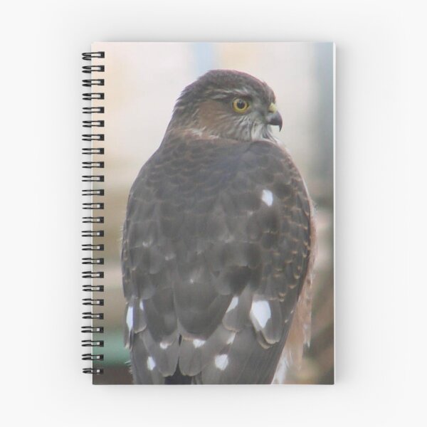 Item preview, PNW Raptor - Merlin Falcon designed and sold by tkrosevear.