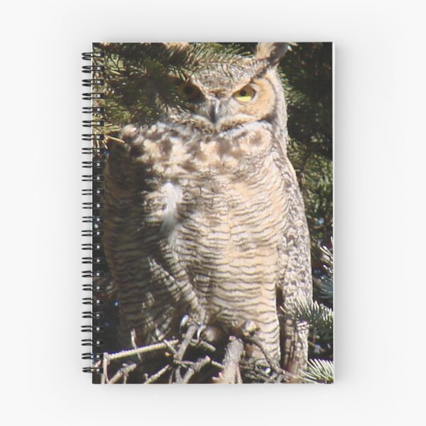 Item preview, PNW Raptor - Great Horned Owl2 designed and sold by tkrosevear.