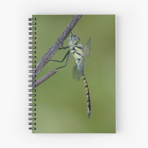 Item preview, Emerald Dragonfly designed and sold by Andrew Trevor-Jones.