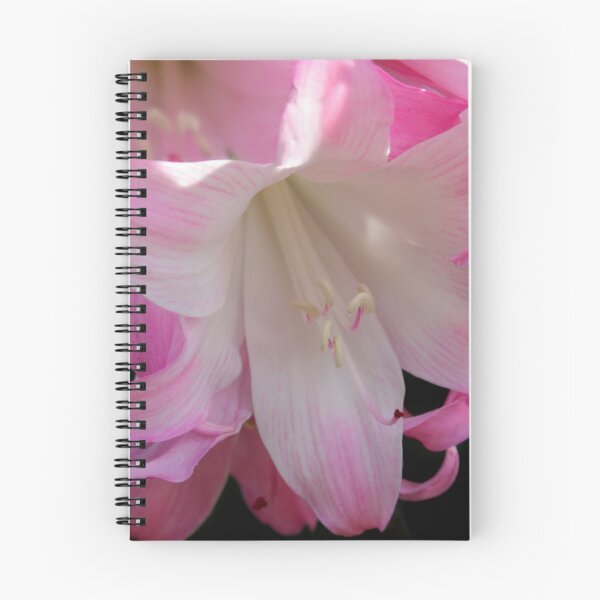 Item preview, Naked Ladies designed and sold by picketty.