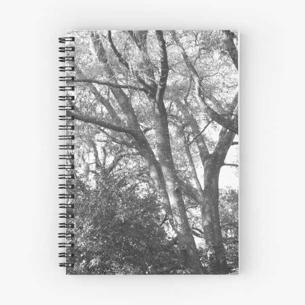Item preview, The softer side of trees designed and sold by Kristy Dalpez.