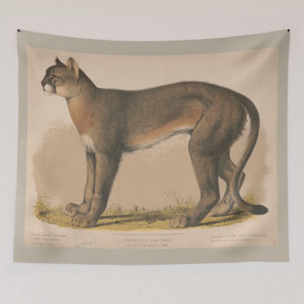 Item preview, Vintage Illustration of an American Panther (1874) designed and sold by BravuraMedia.