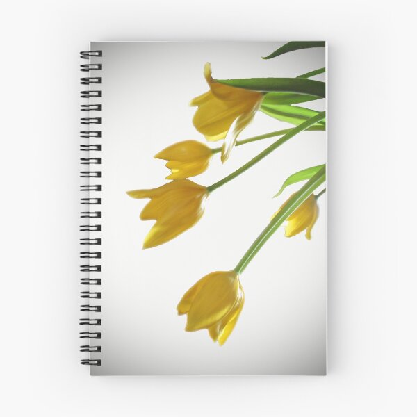 Item preview, Tulips' Profile designed and sold by cnik.
