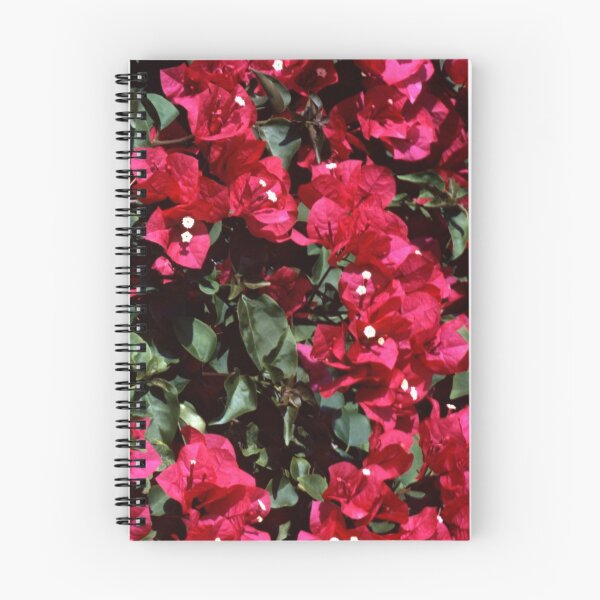 Item preview, Bougainvillea designed and sold by Roger Otto.