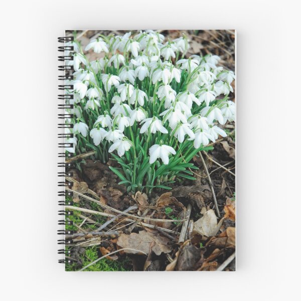 Item preview, First snowdrops designed and sold by Photography & Emotive Ai.