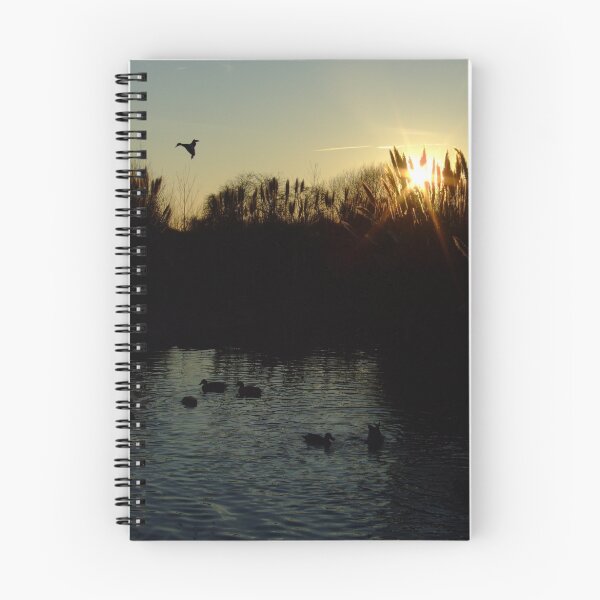 Item preview, At the duck pond designed and sold by RyanLee.