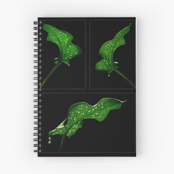 Item preview, Three leaves designed and sold by Barbara  Corvino.