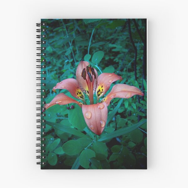 Item preview, Tiger Lily designed and sold by Jena Alexander.