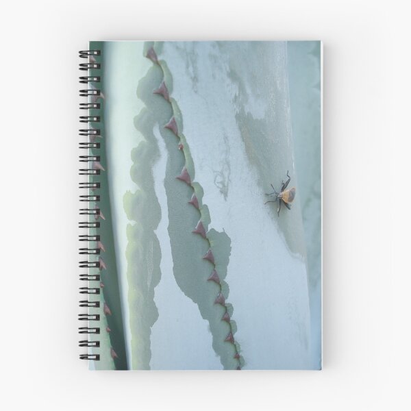 Item preview, Century Plant and Stinkbug designed and sold by May Lattanzio.