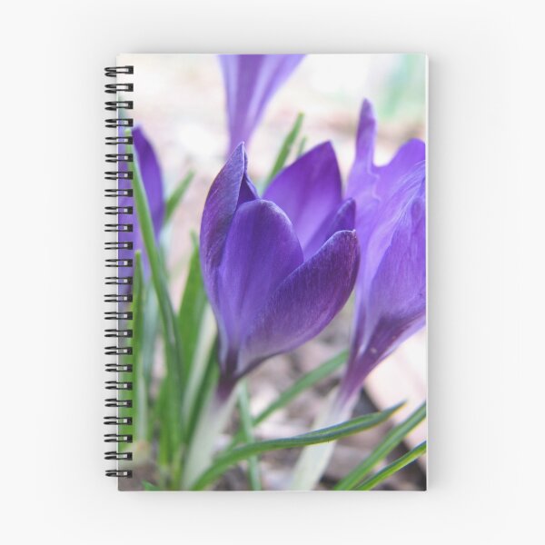 Item preview, ~Spring Passion~ designed and sold by NatureGreeting Cards ©ccwri.