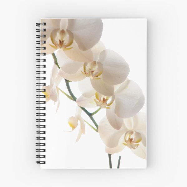 Artikelvorschau, White Orchids entworfen und verkauft von Tinkerbella.