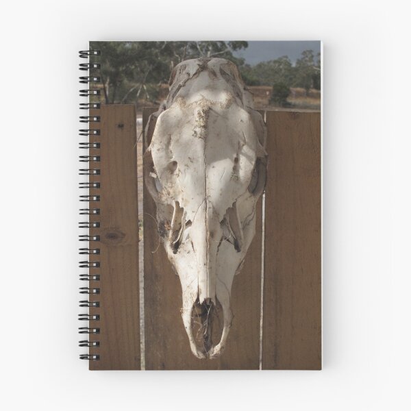Item preview, Partial Foal Skull designed and sold by Skyhorse.