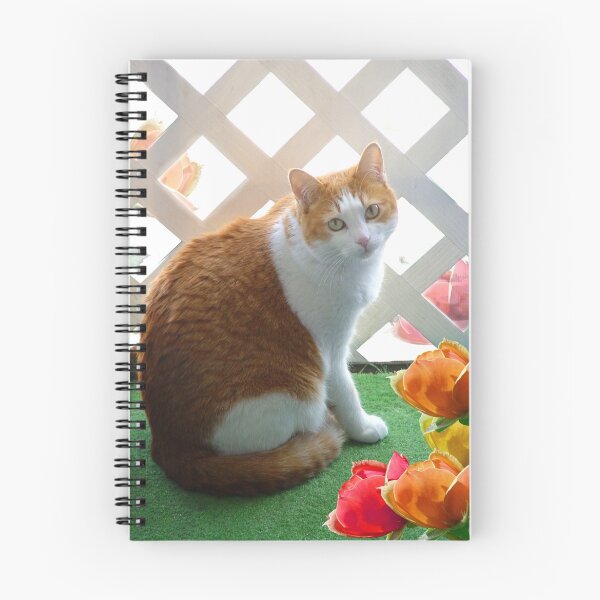 Item preview, Pretty Bitty designed and sold by Zoe Marlowe.