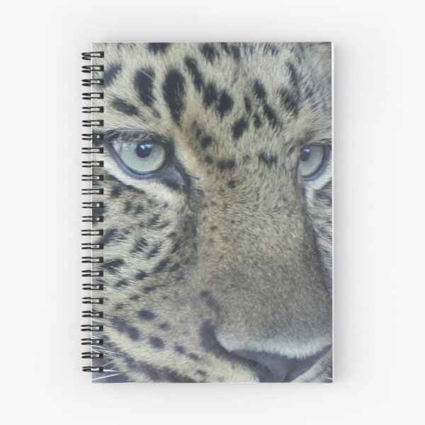 Item preview, Amur Leopard designed and sold by acwatson.
