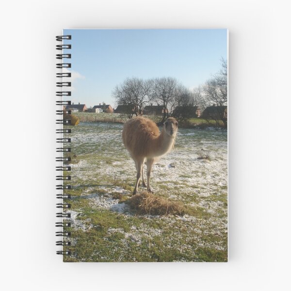 Item preview, Llama designed and sold by Amanda Norris.