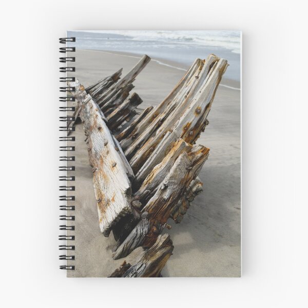 Aperçu de l'œuvre Ribs on the Skeleton Coast - Namibia créée et vendue par Lisa Germany.