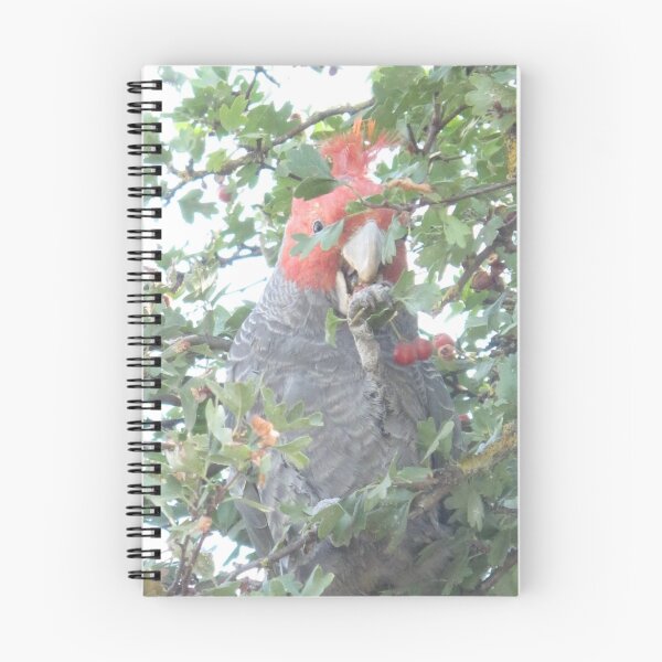 Item preview, Hm, Busy ... Eating! designed and sold by Skyhorse.