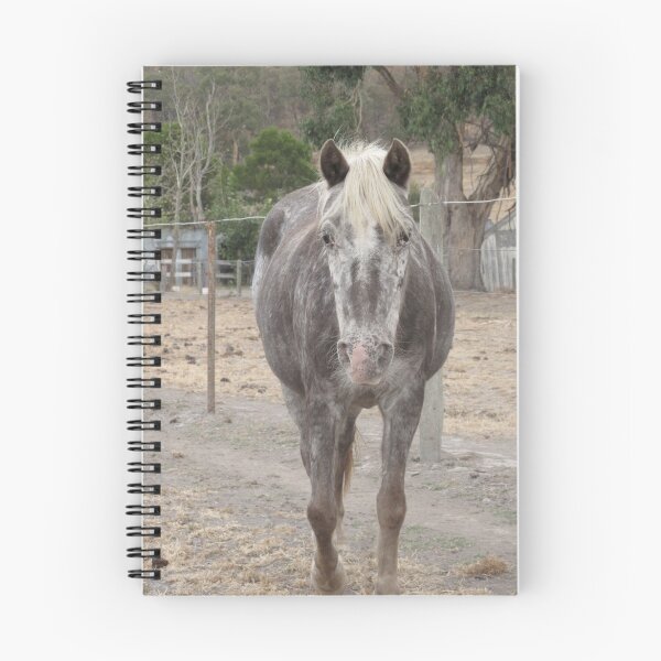 Item preview, World's Best Palouse Pony designed and sold by Skyhorse.