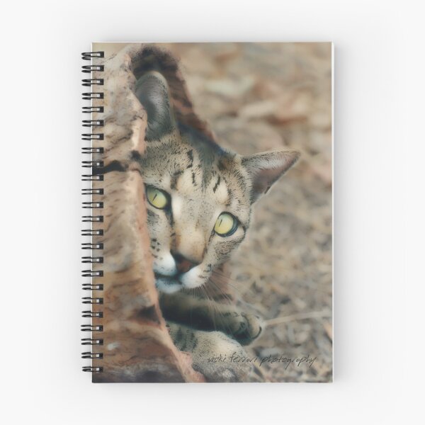 Item preview, Yiddie In A Hollow Log © designed and sold by Vicki Ferrari Photography.