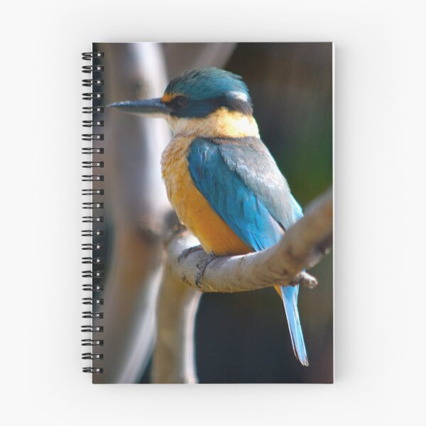 Artikelvorschau, The Kingfisher entworfen und verkauft von fatdade.