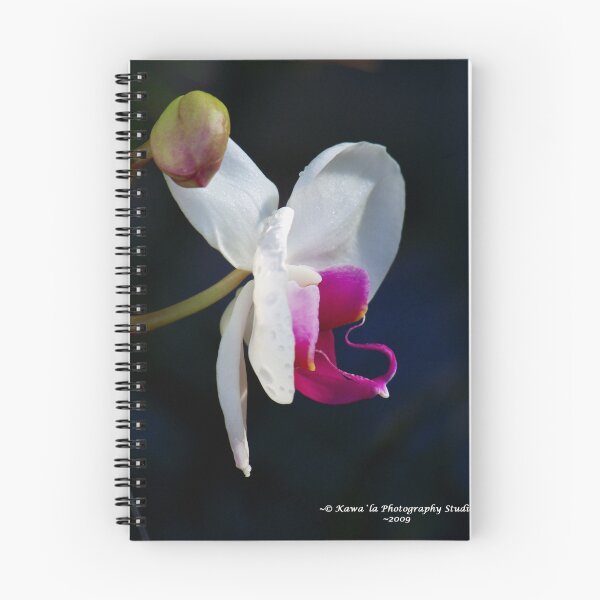 Item preview, Hanging Orchid designed and sold by Dennis  Stanton.