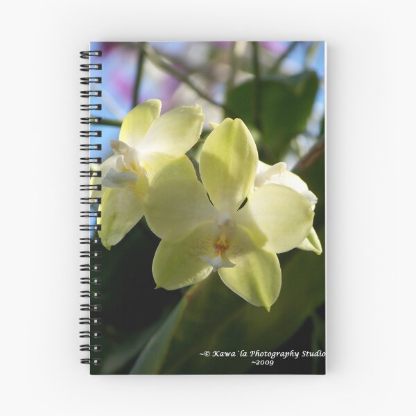 Item preview, Yellow Orchid designed and sold by Dennis  Stanton.