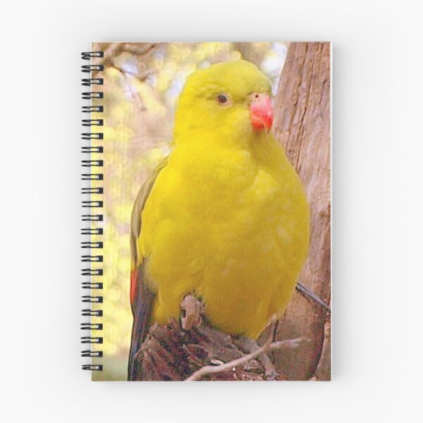 Item preview, Regent Parrot designed and sold by Clive.