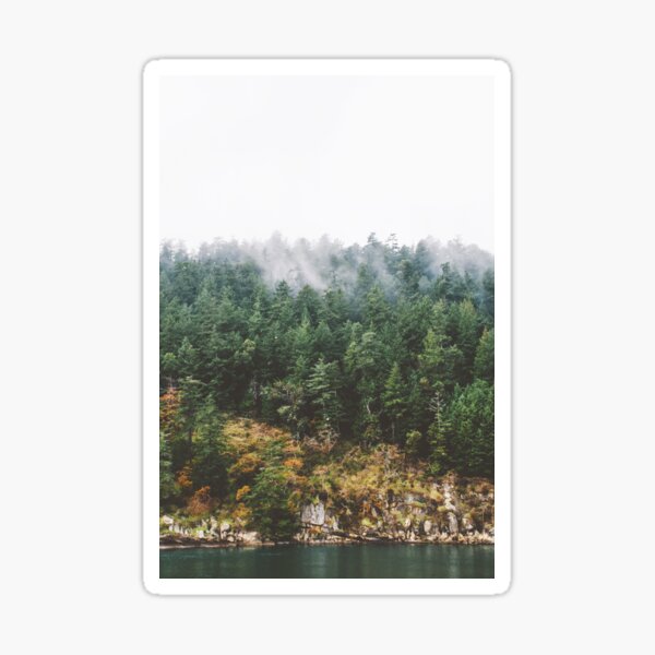 Foggy Vancouver Island Sticker