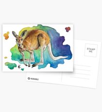 Kangaroo Postcards