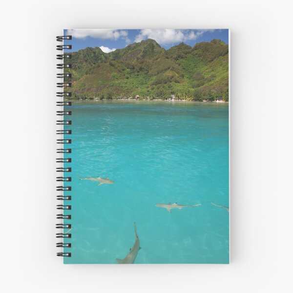 Aperçu de l'œuvre Requins à pointes noires multiples, Moorea créée et vendue par Tyler  Core.