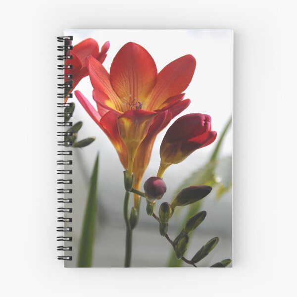 Item preview, Freesia designed and sold by Anne Smyth.