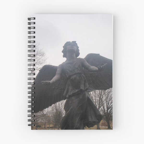 Aperçu de l'œuvre Angel with open arms  créée et vendue par MsLynn.