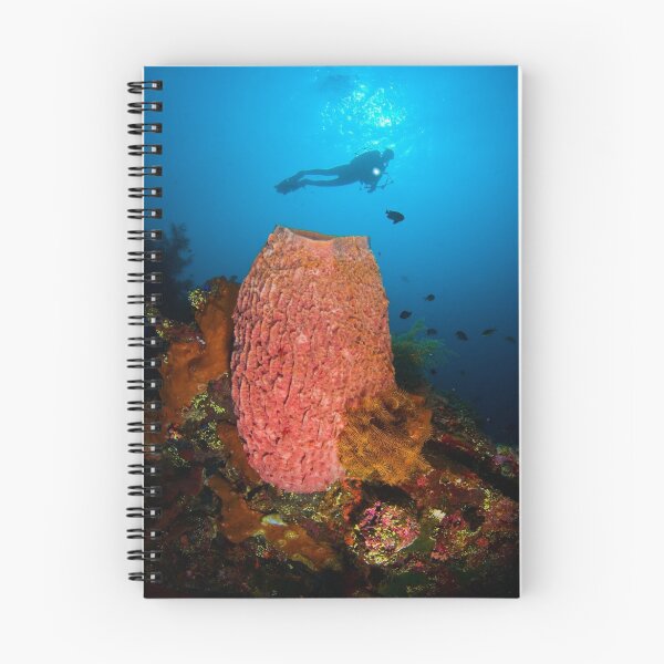Item preview, Diving a wreck designed and sold by daveharasti.