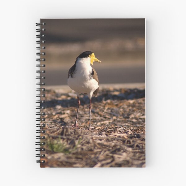 Item preview, Masked Lapwing designed and sold by neroli50.