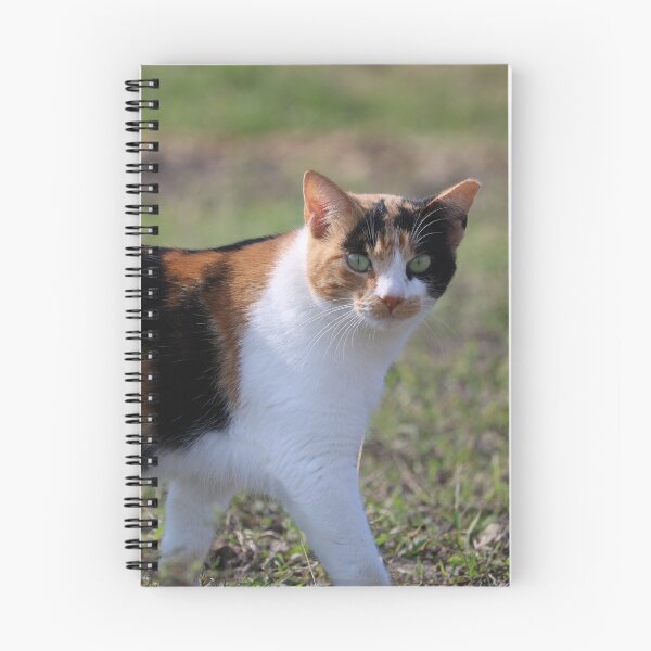 Item preview, Calico Cat designed and sold by KeiylaD97.