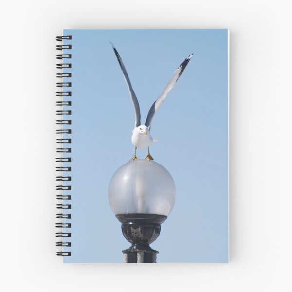 Item preview, Gull Stretch designed and sold by DigitallyStill.